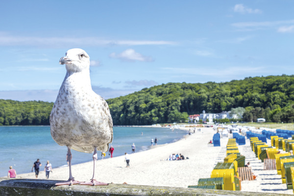 Binz auf Rügen - Urlaubsreisen