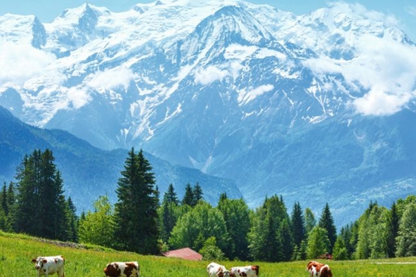 Matterhorn, Mont Blanc und Genf