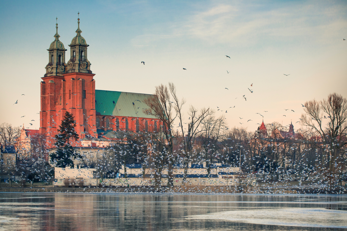 © Szymon - stock.adobe.com