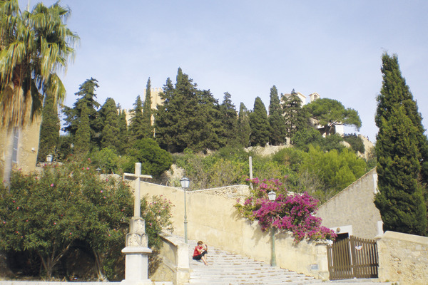 Mandelblüte auf Mallorca