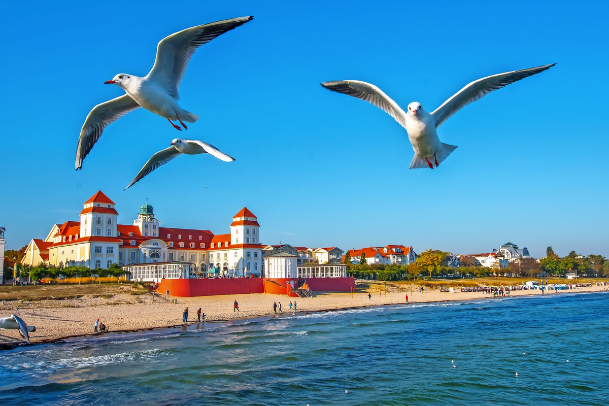 © Comofoto - stock.adobe.com