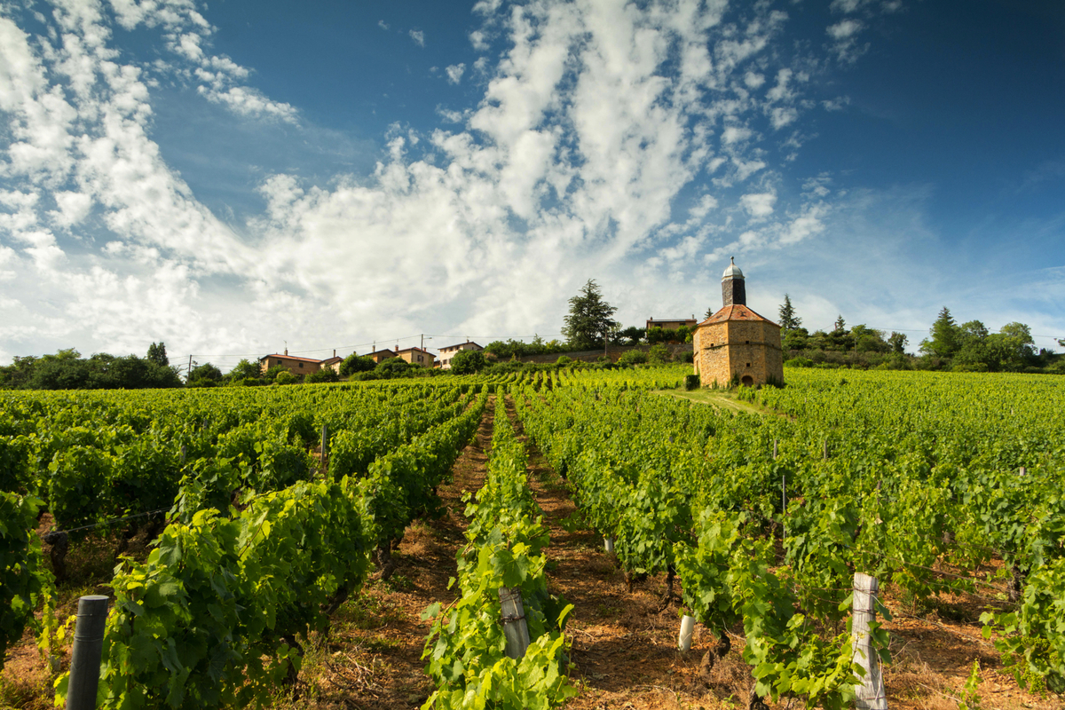 © jorick - stock.adobe.com