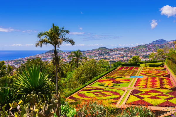 Madeira zum Blumenfestival