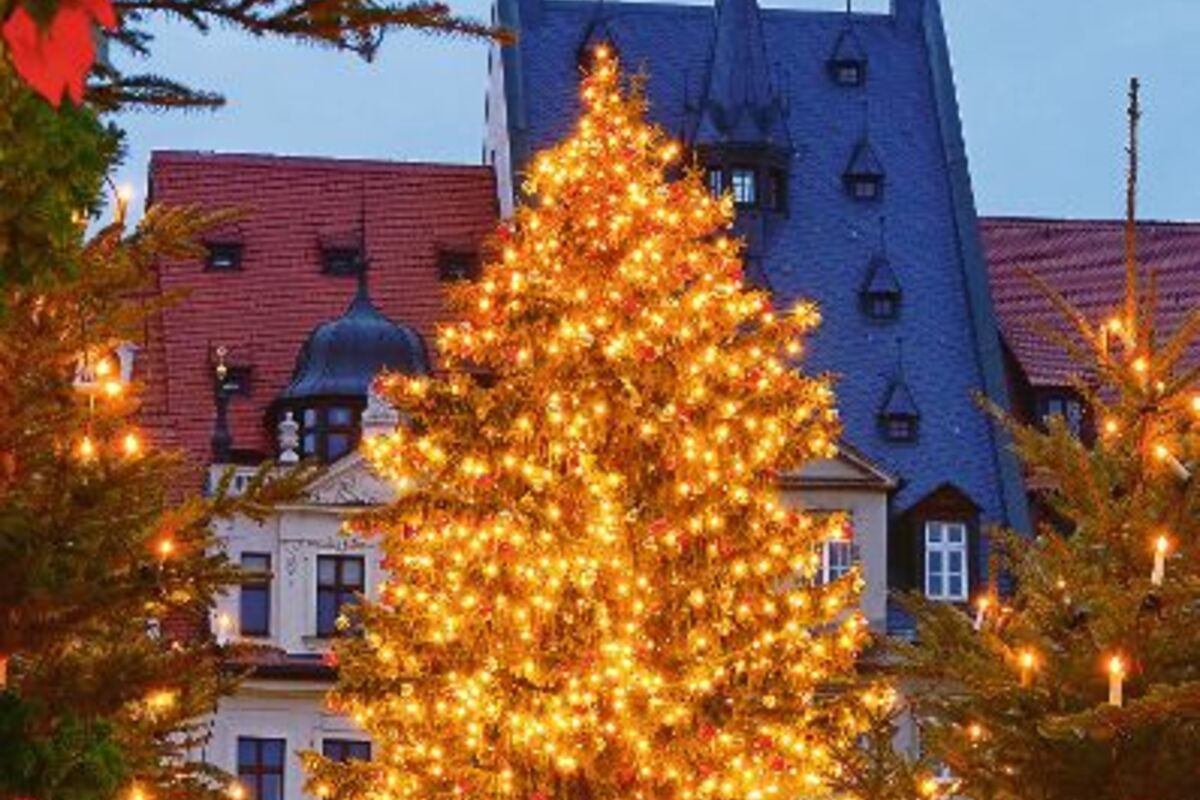 © LianeM - Fotolia