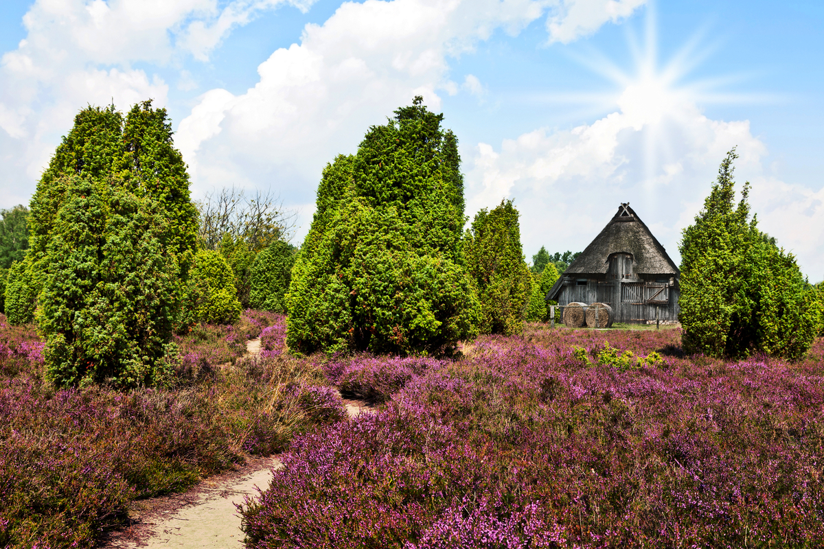 © Gabriele Rohde - stock.adobe.com