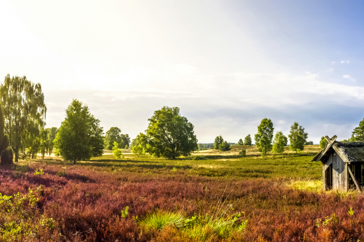 ©pure-life-pictures - stock.adobe.com
