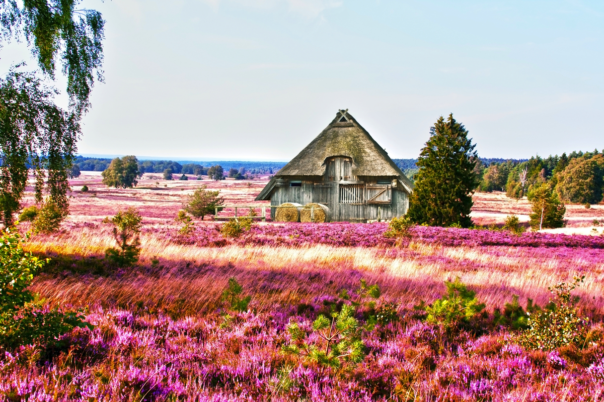 ©Gabriele Rohde - stock.adobe.com