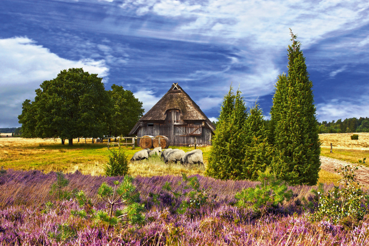 © Gabriele Rohde - Fotolia
