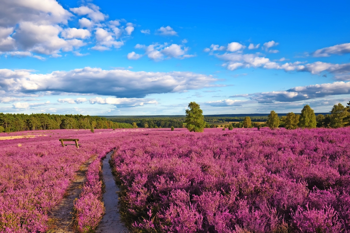 © BVpix - Fotolia