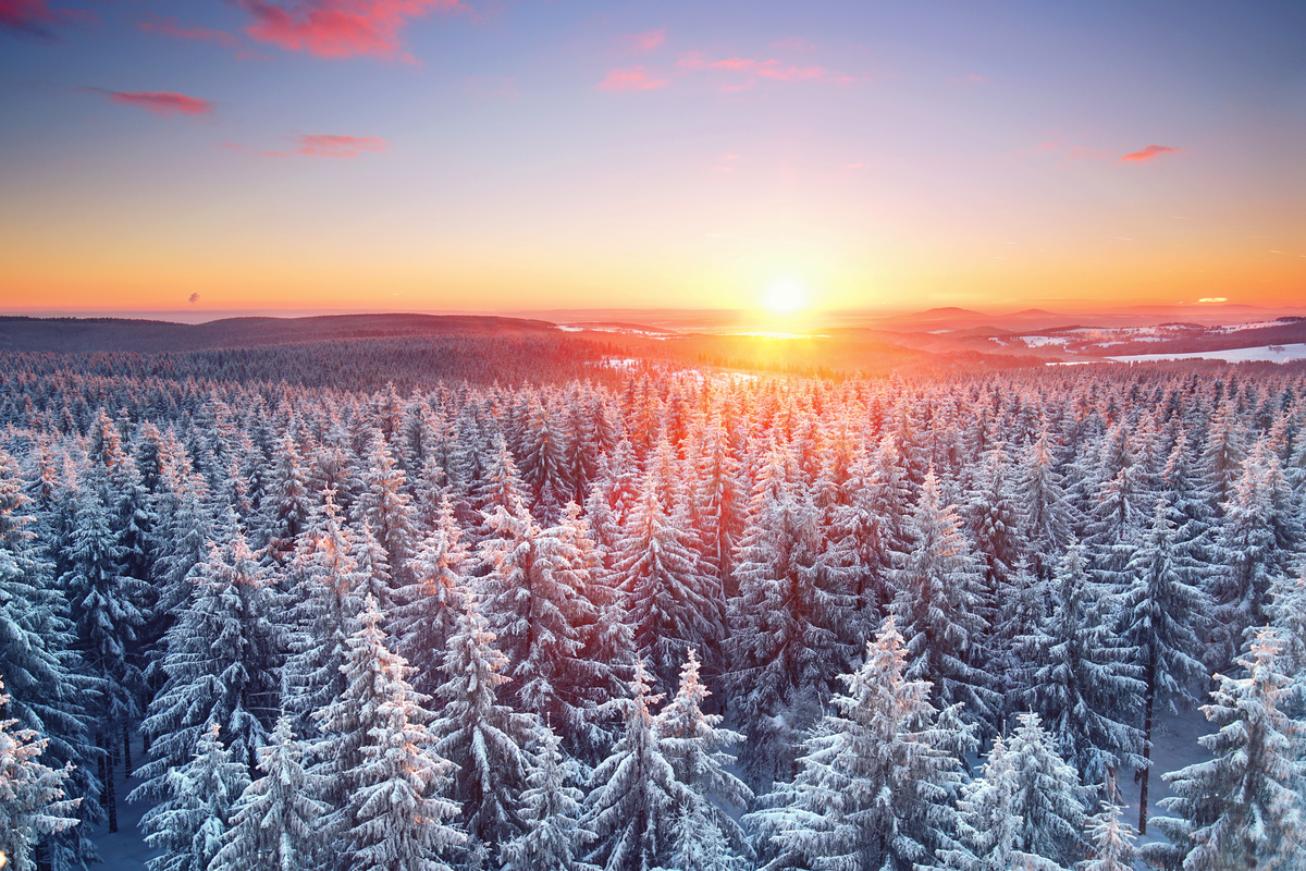 © Jenny Sturm - stock.adobe.com