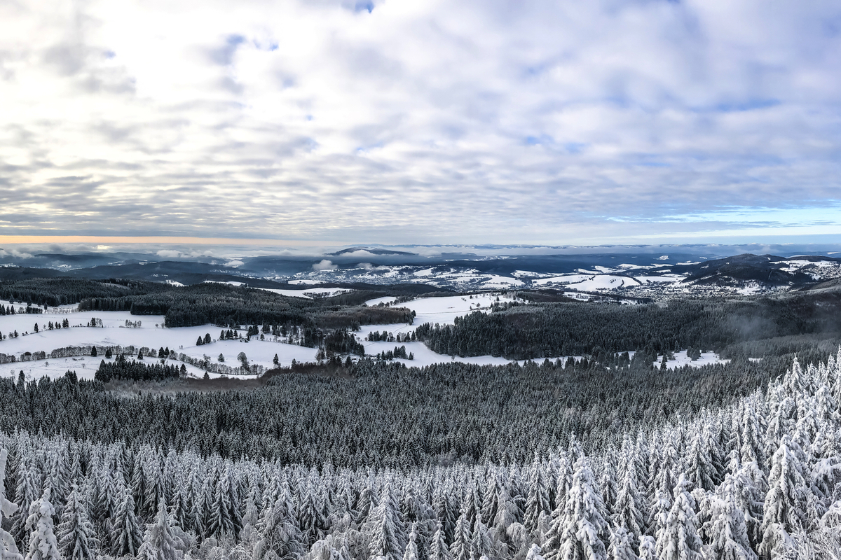 © Knut Halir - stock.adobe.com