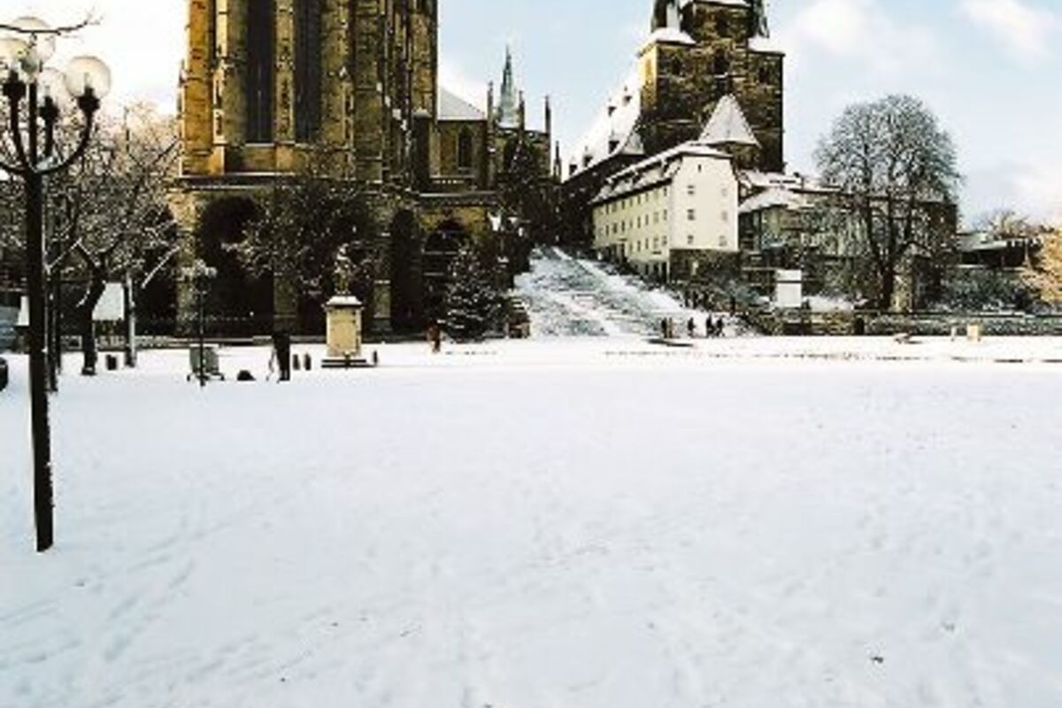 © Tourismus Gesellschaft Erfurt