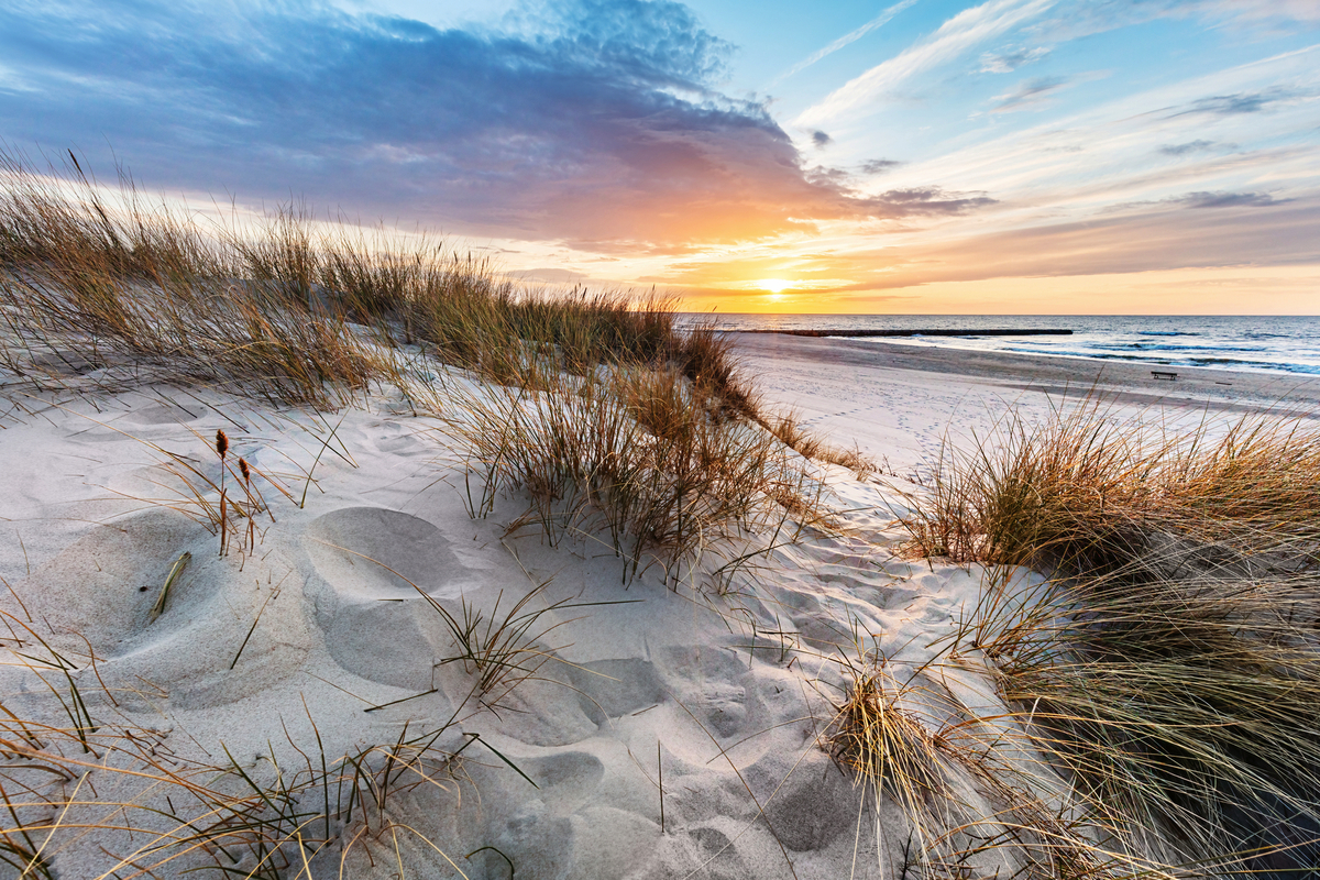 © Photocreo Bednarek - stock.adobe.com