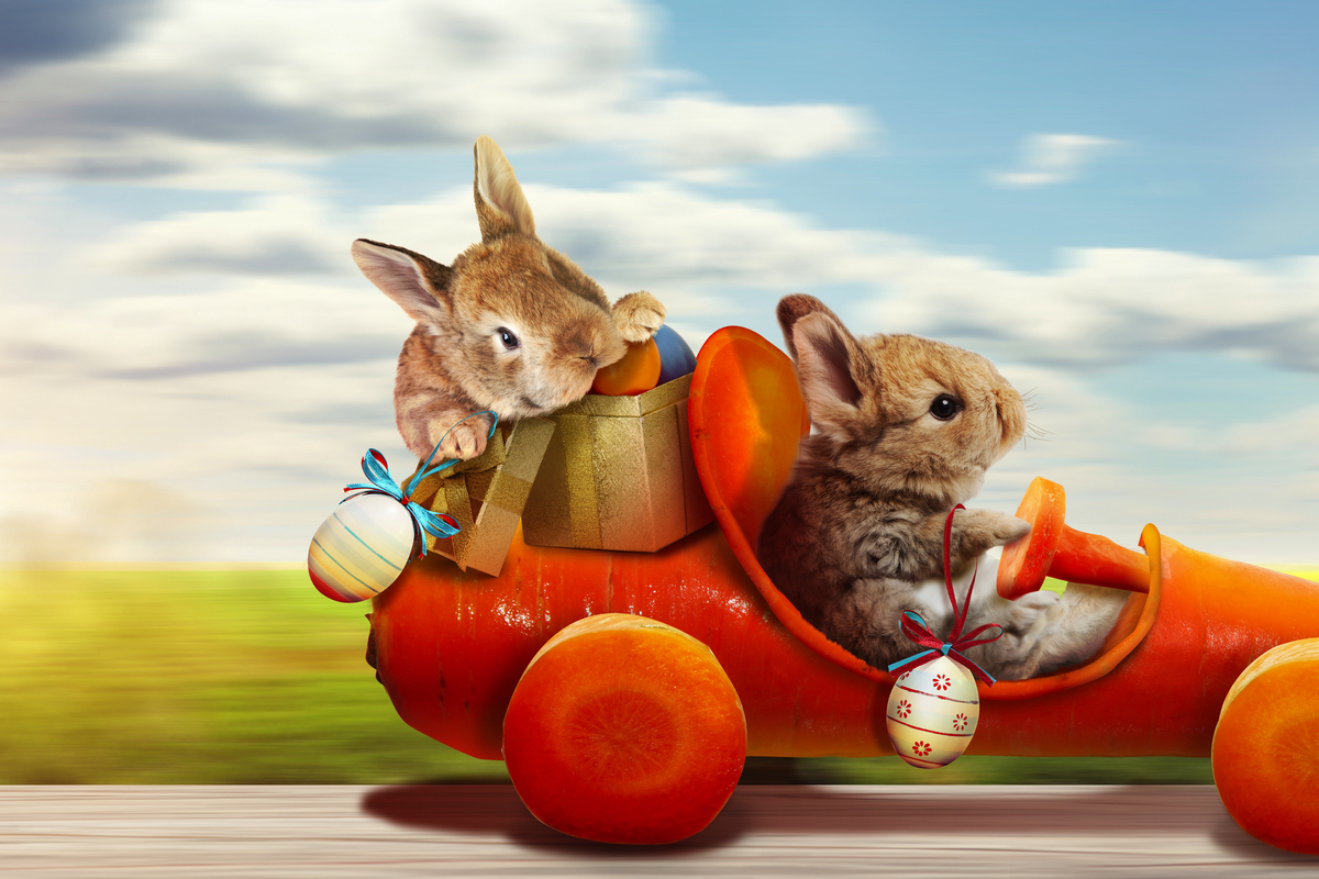 ©Thaut Images - stock.adobe.com