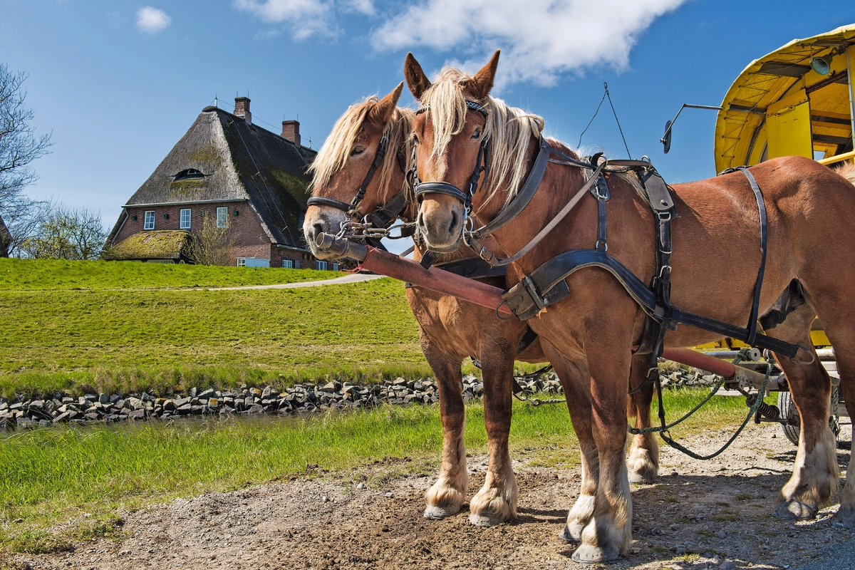 © franke182 - stock.adobe.com
