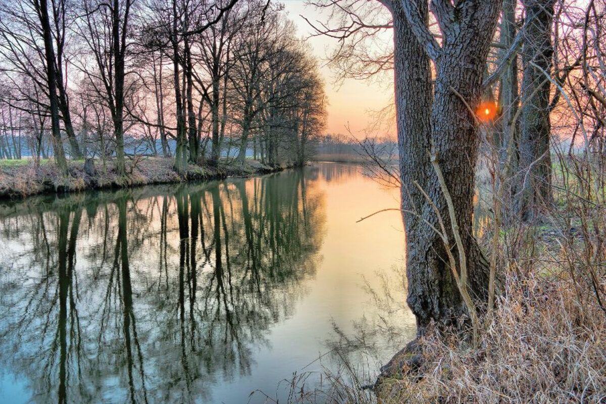 © LianeM - Fotolia