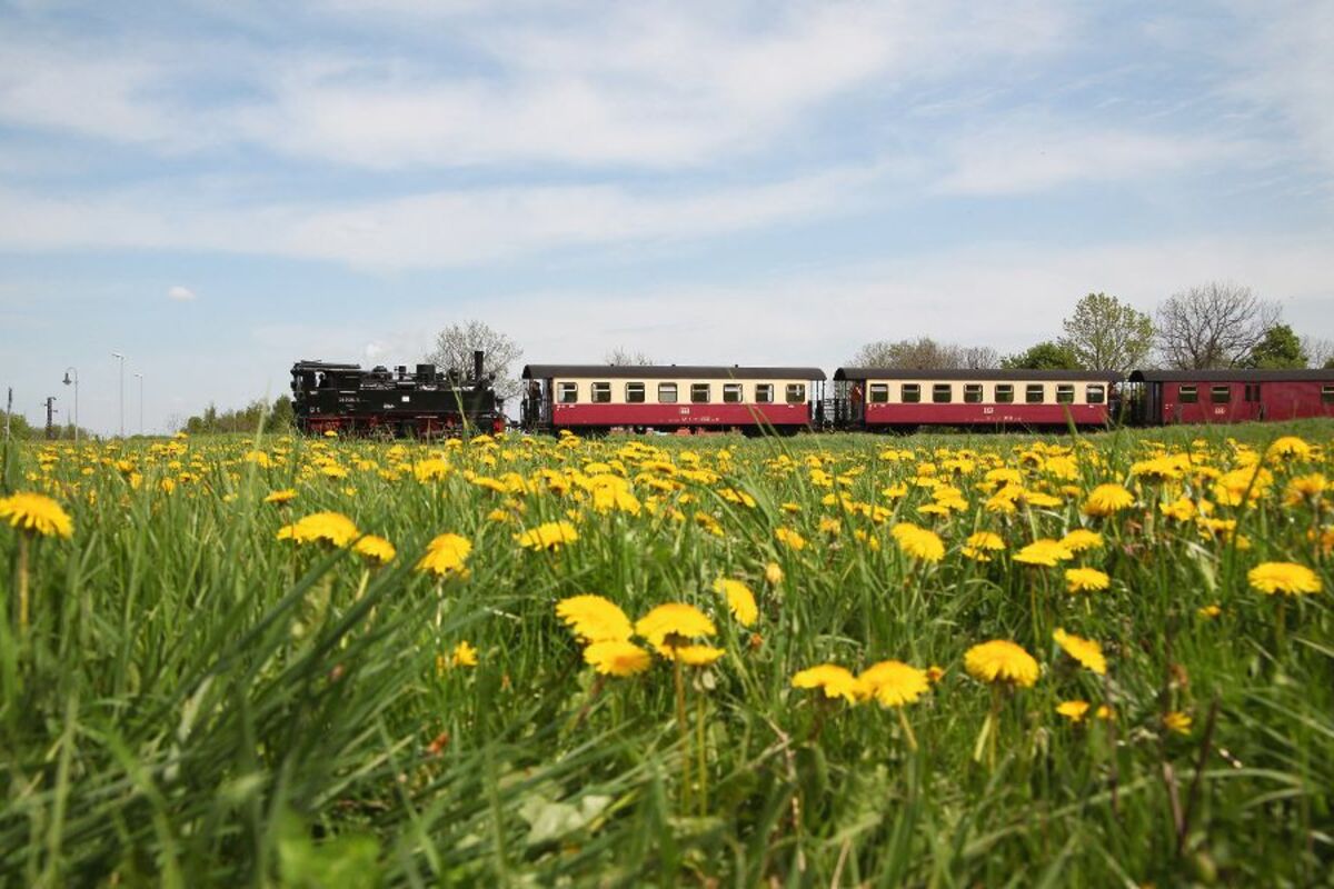 © Holzborn - Fotolia