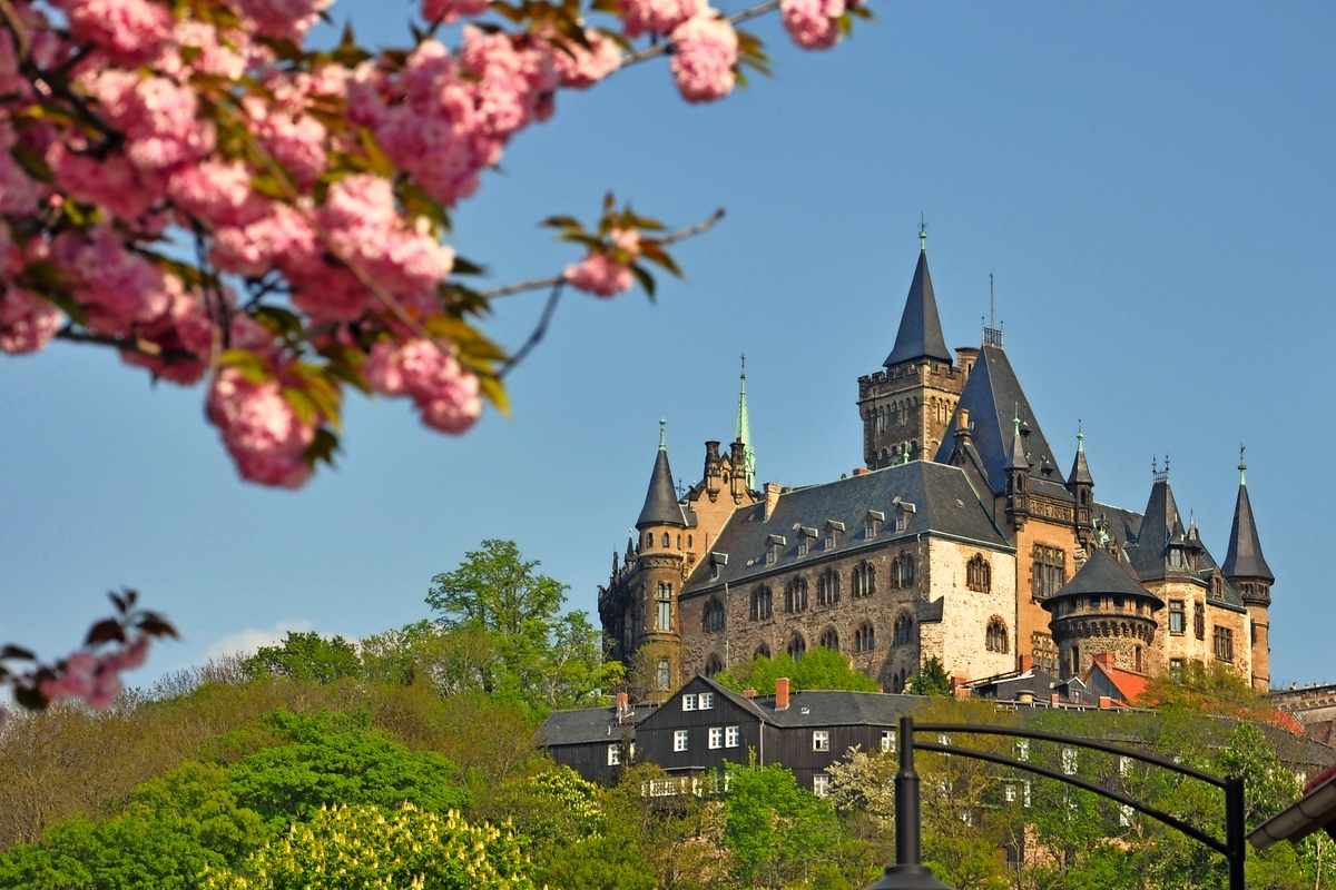 © Henry Czauderna - Fotolia