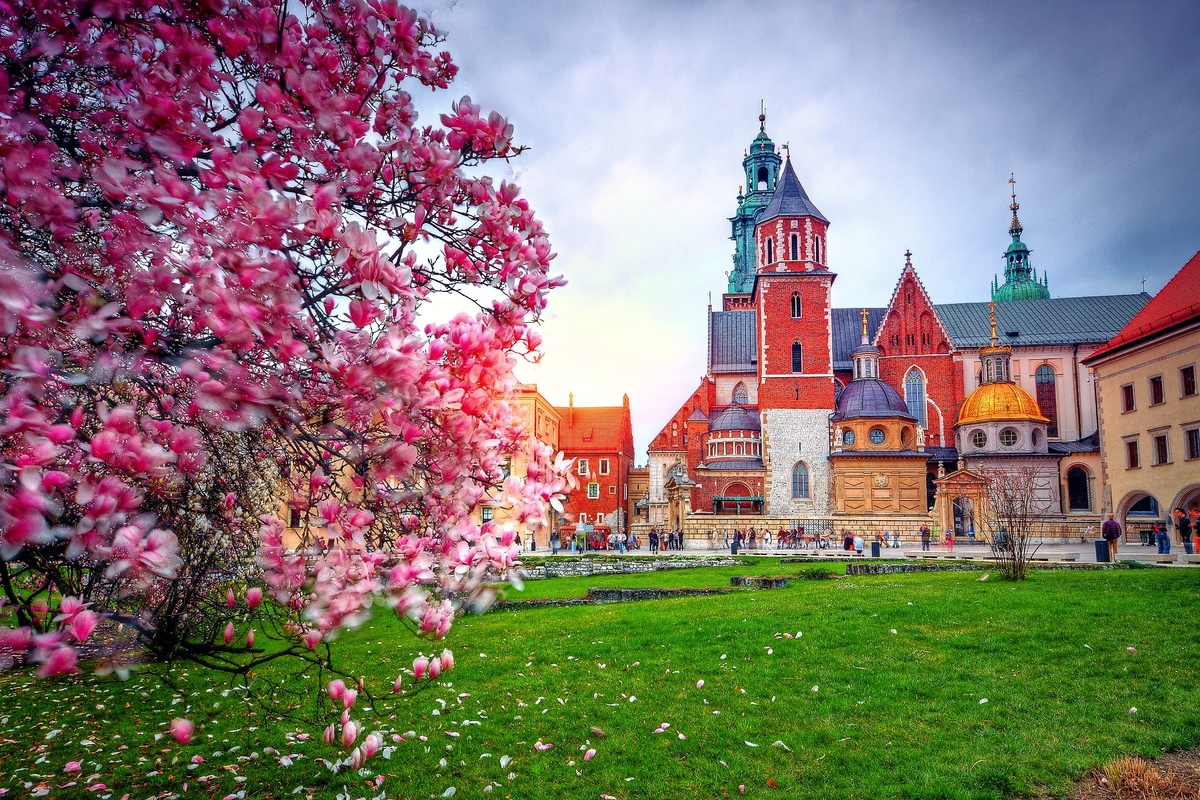© Patryk Michalski - Fotolia
