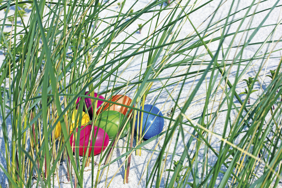 © Eric Nordas - Fotolia