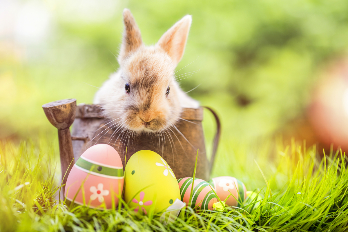 ©drubig-photo - stock.adobe.com