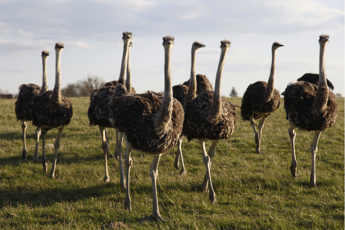 ©jh Fotografie - stock.adobe.com