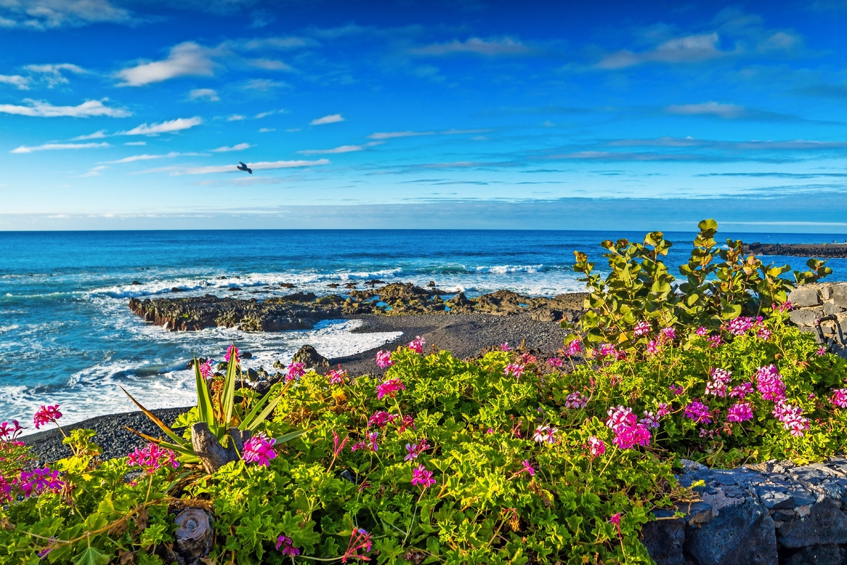 © davis - stock.adobe.com