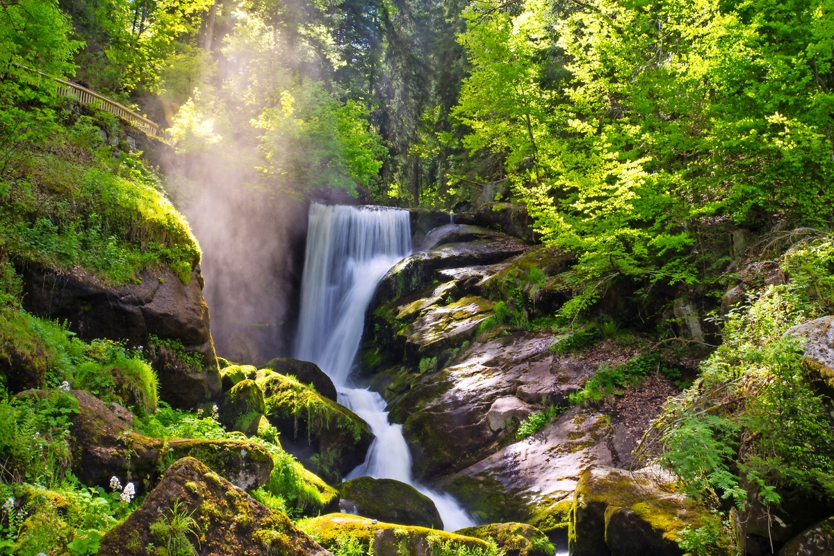 © Simon - stock.adobe.com
