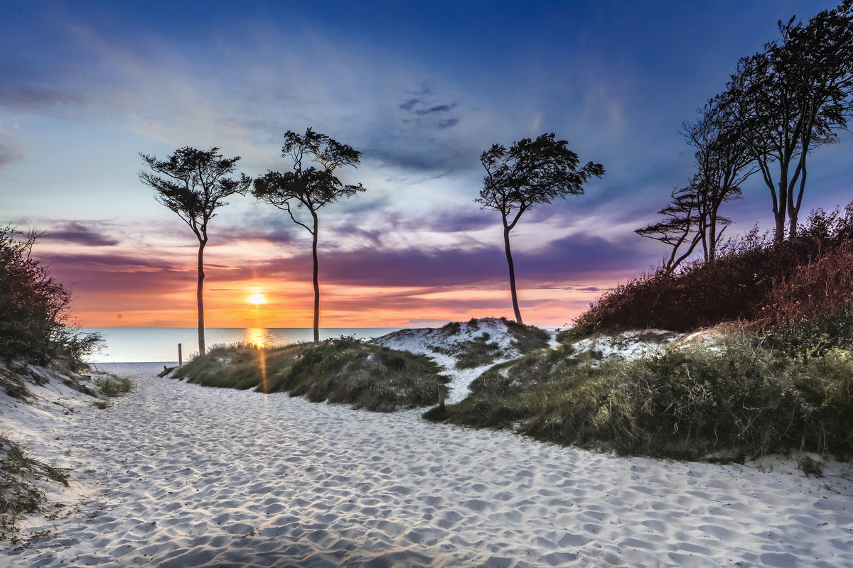 ©haiderose - stock.adobe.com