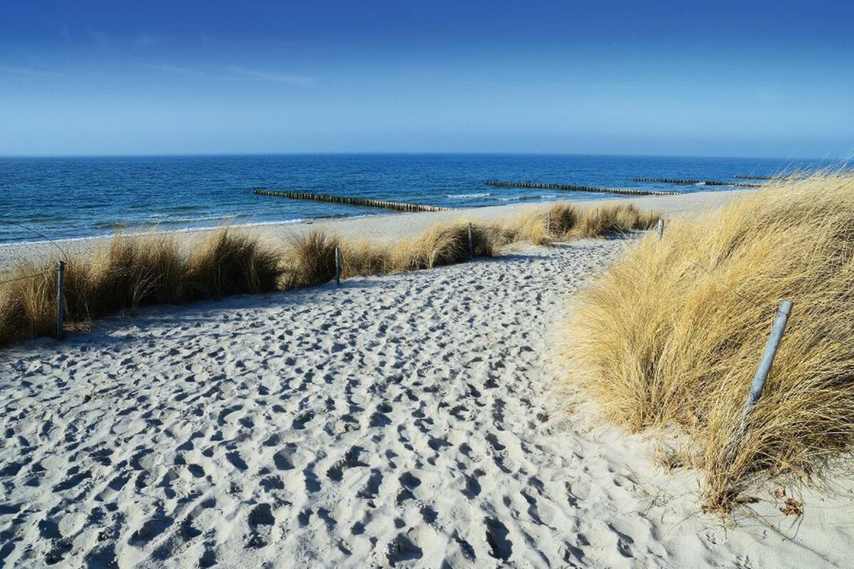 © geckolo - Fotolia