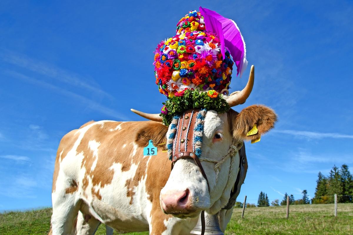 © andal1991 - Fotolia