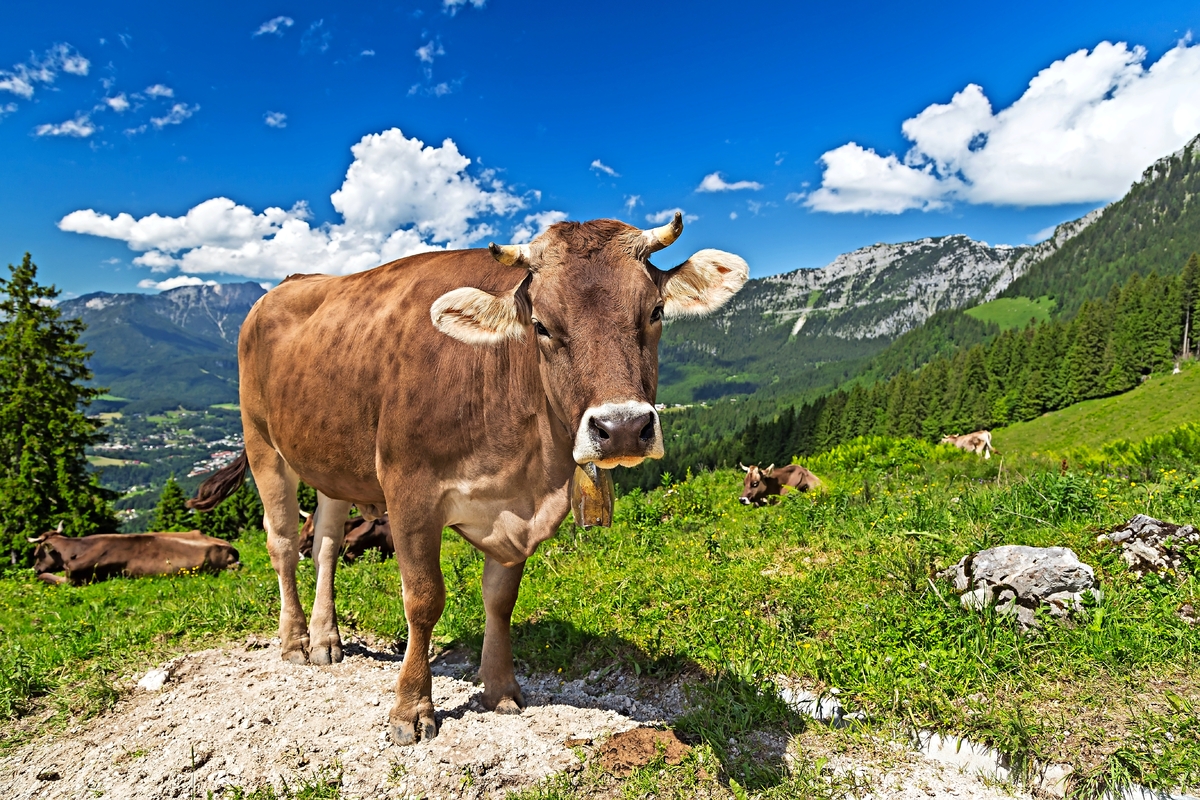 © stockphoto-graf - Fotolia