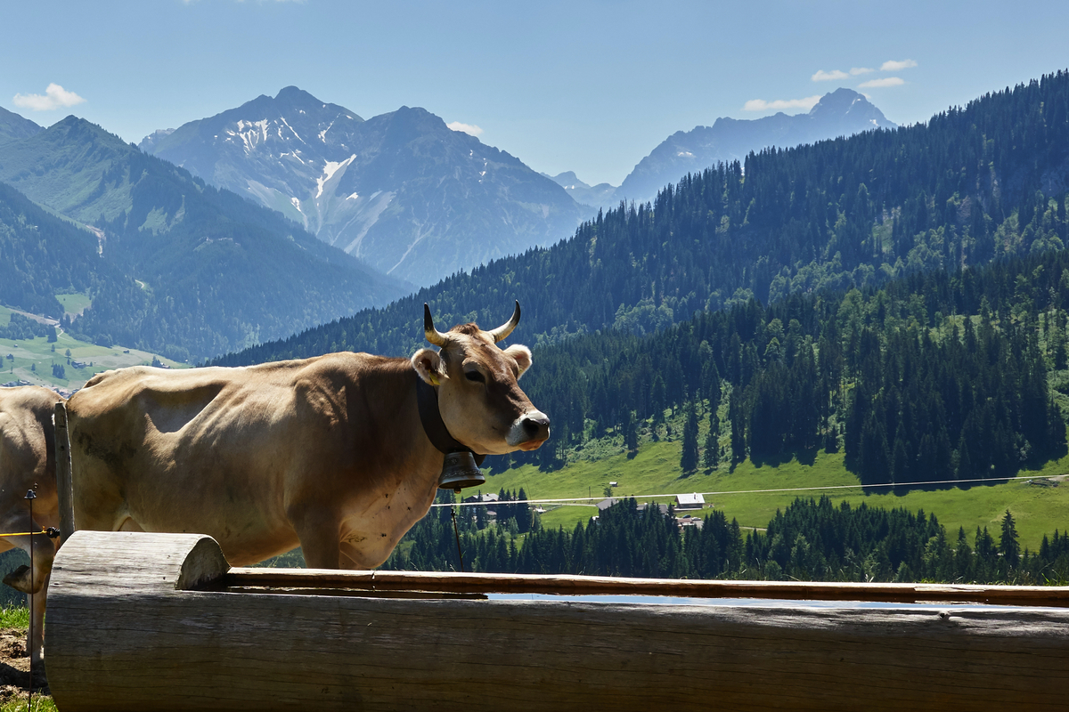 ©Michael Fritzen - stock.adobe.com