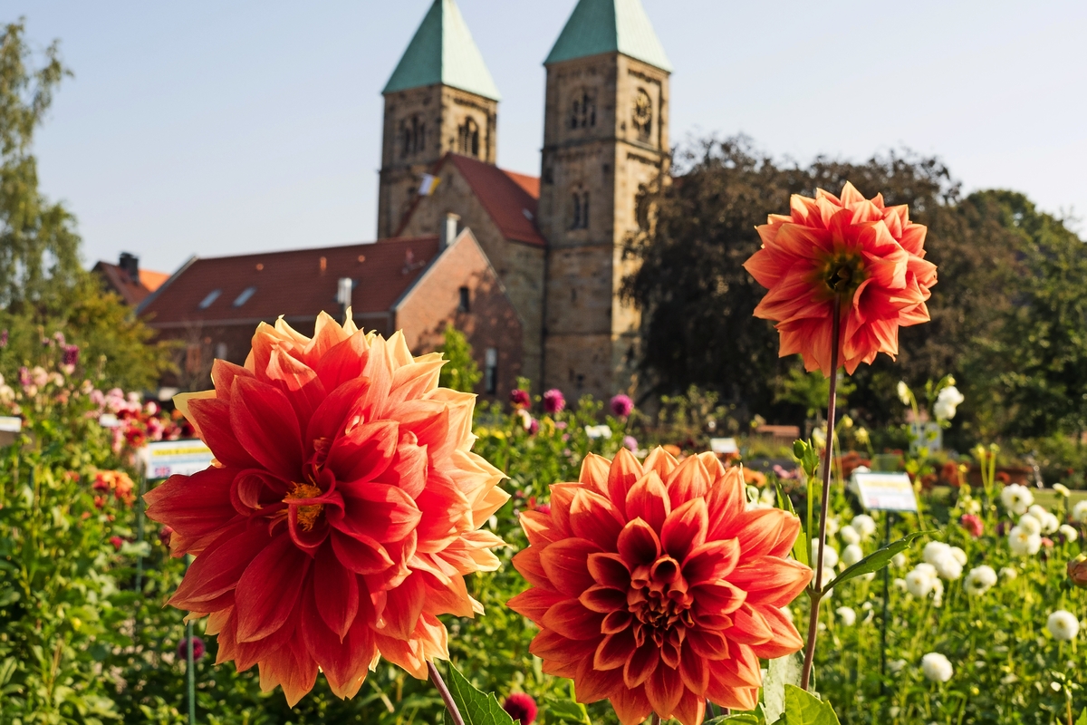 © Stephan Shling - Fotolia