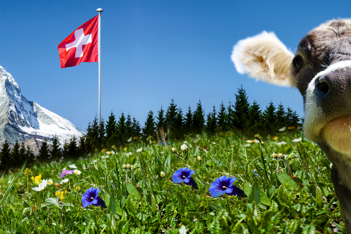 © by-studio - stock.adobe.com