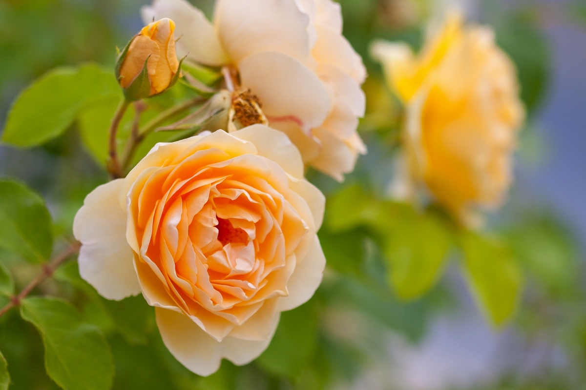 ©victoria p. - stock.adobe.com
