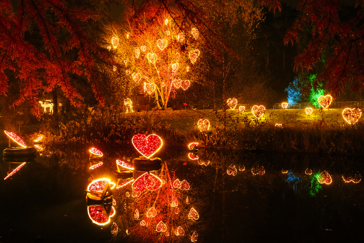 © Christmas Garden, Michael Clemens