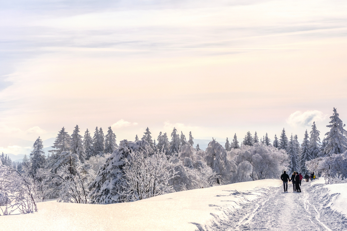 ©pure-life-pictures - stock.adobe.com