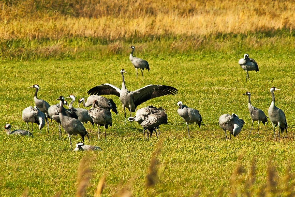 © jakob wilden - stock.adobe.com
