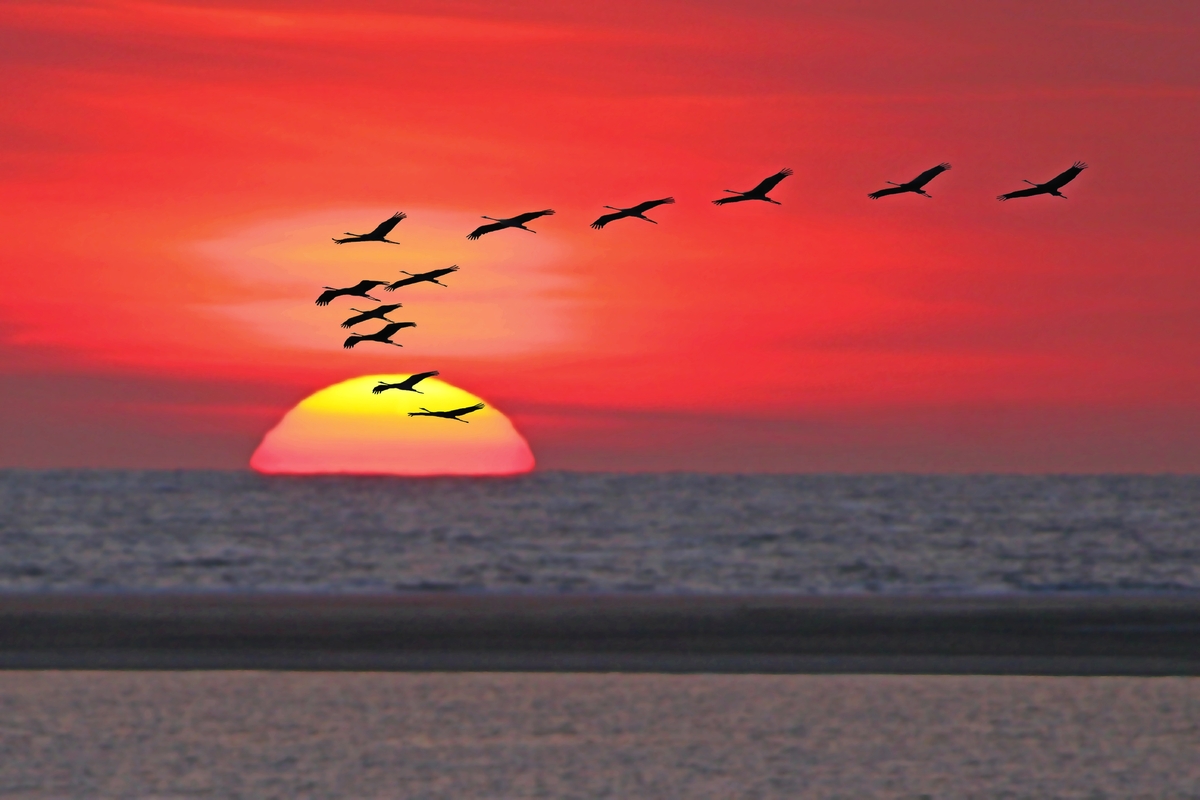 © Rainer Schmittchen - Fotolia