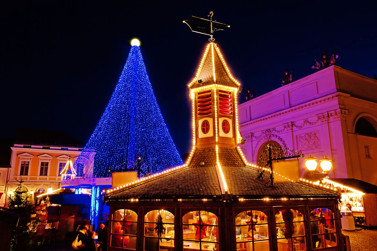 © LianeM - stock.adobe.com