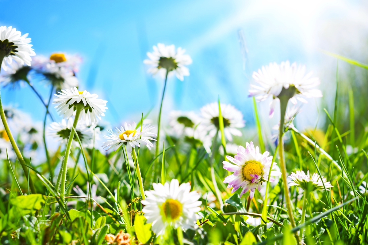© fotoknips - Fotolia
