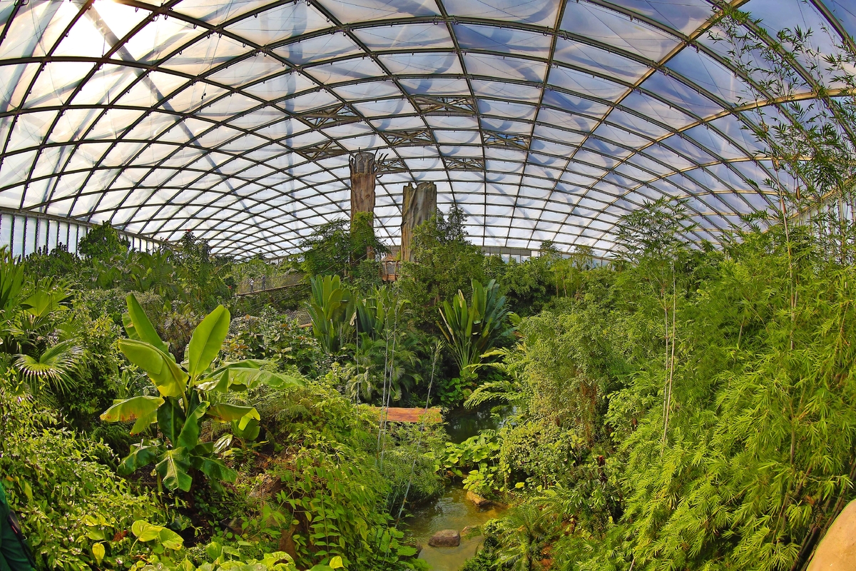 © Zoo Leipzig