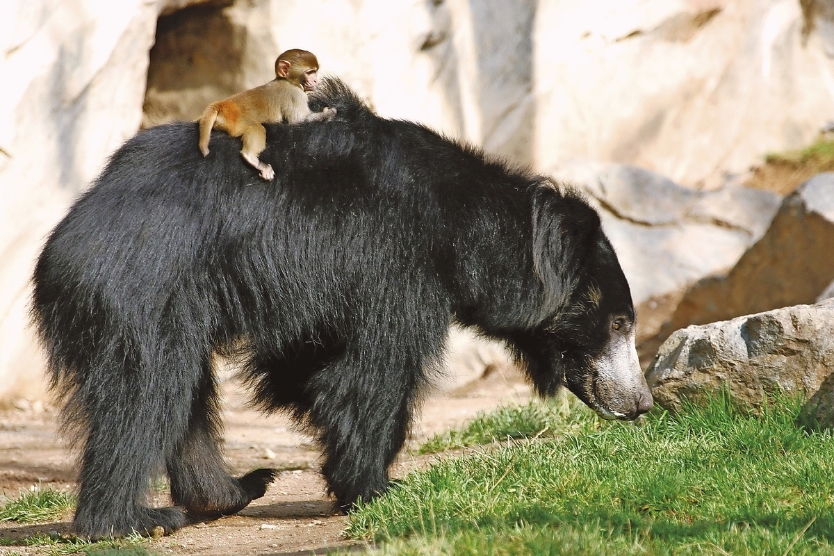 © Zoo Leipzig