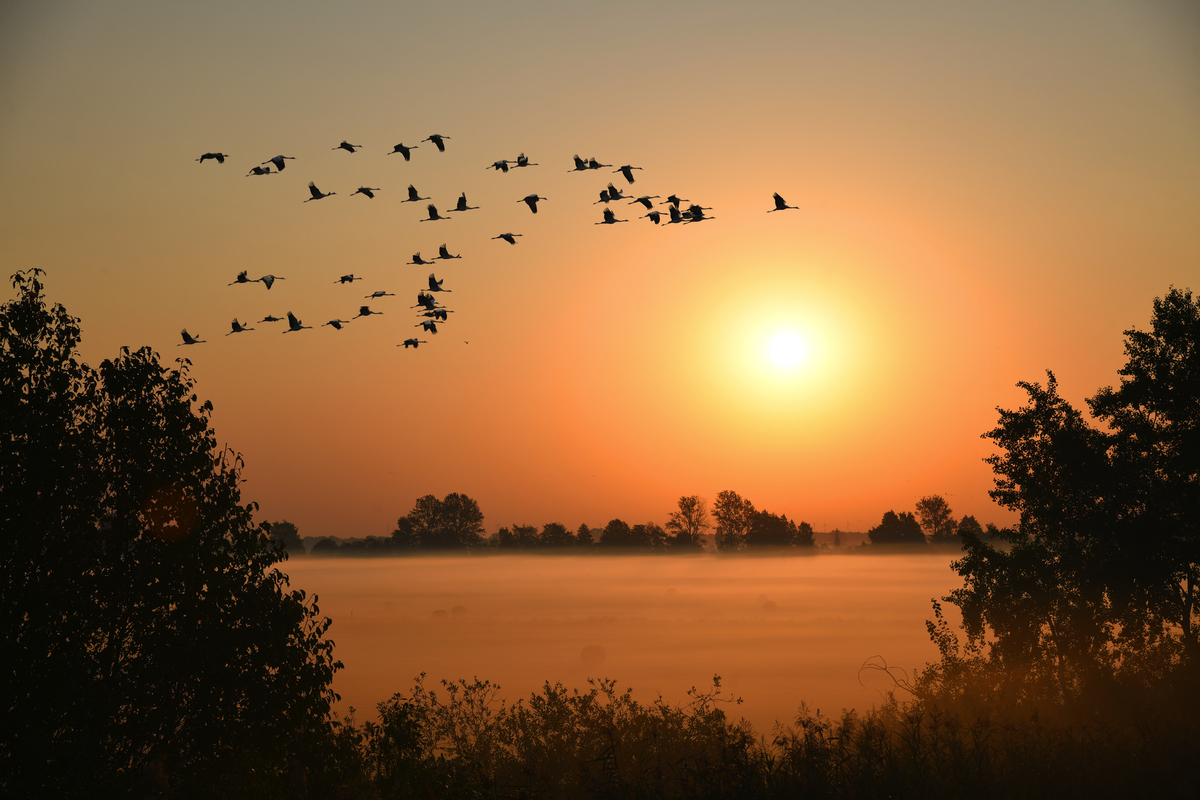 © Thomas Zelonka - stock.adobe.com