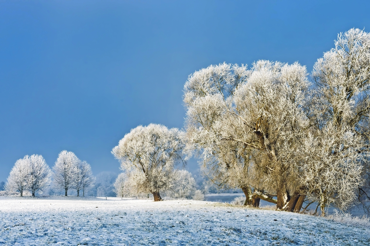 © Blickfang - Fotolia