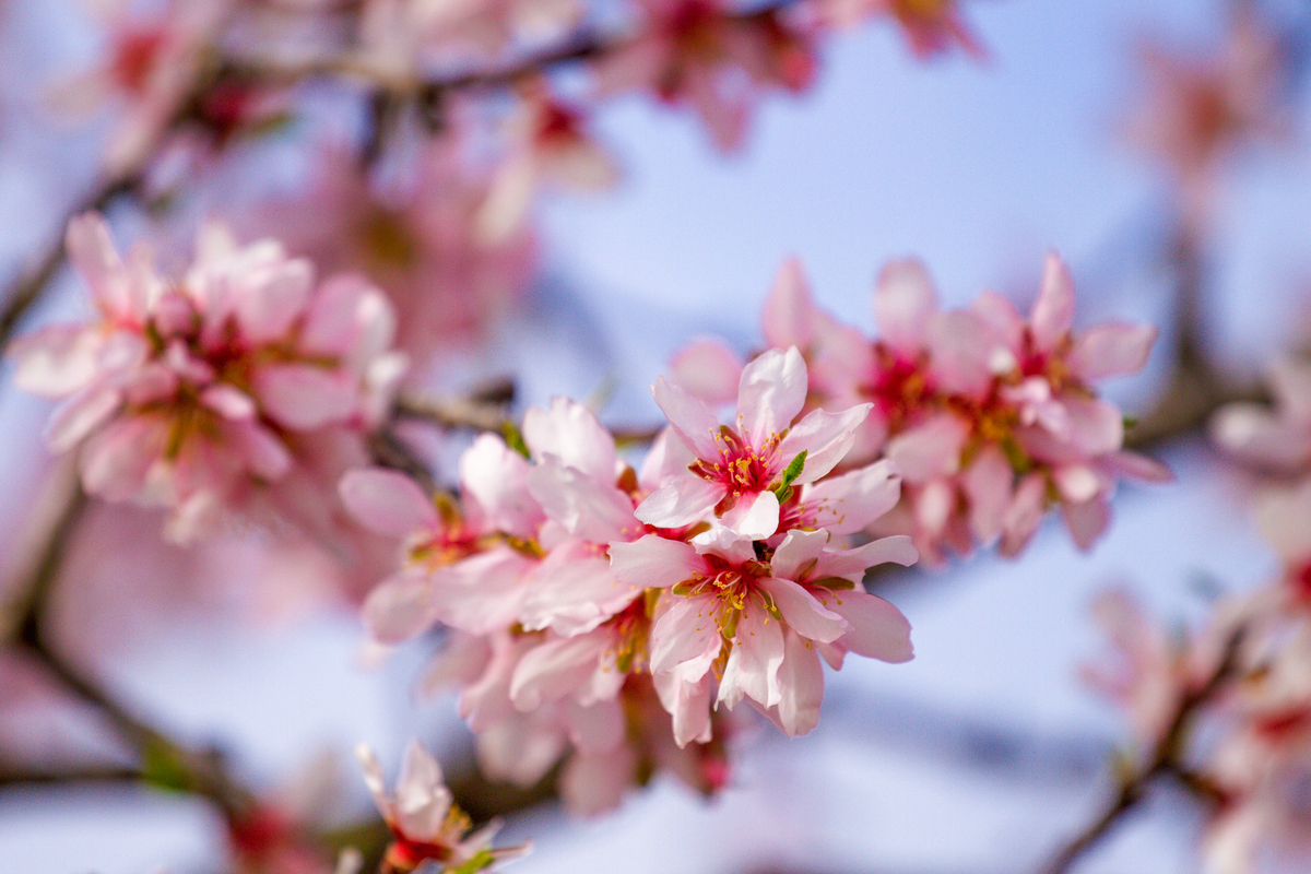 © vejaa - stock.adobe.com