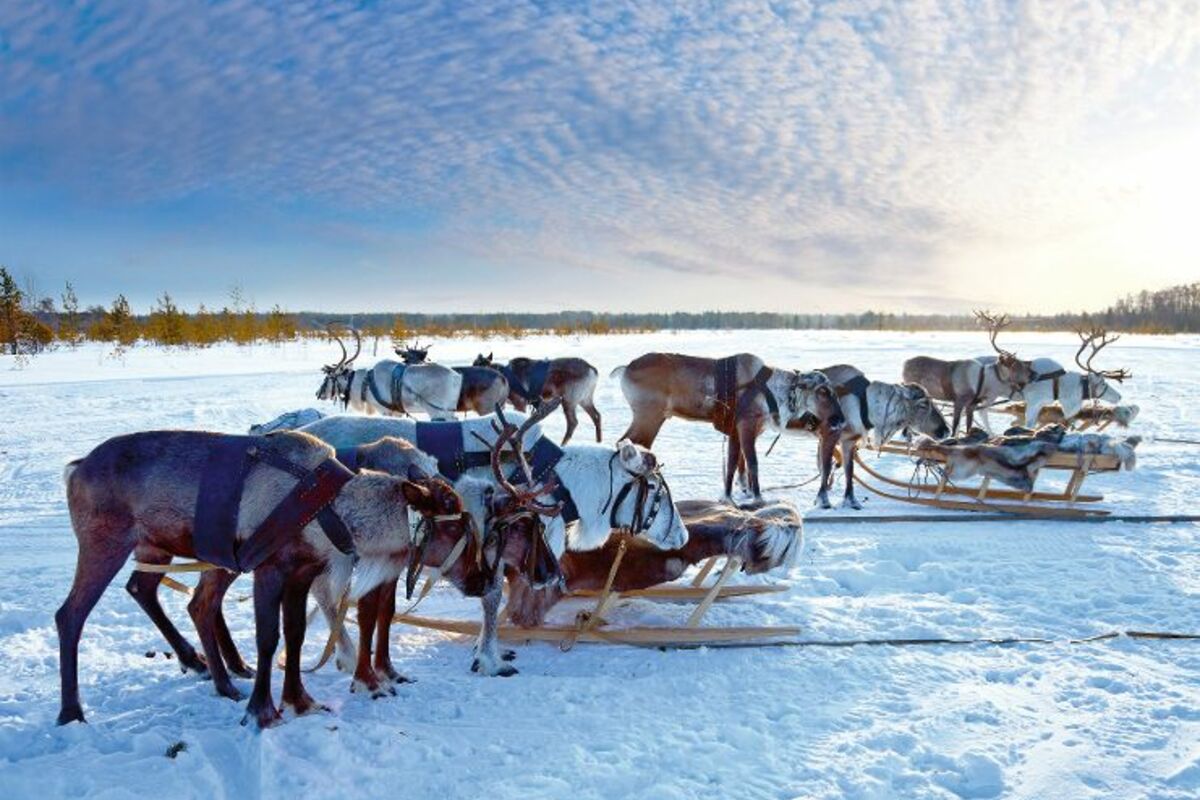 © Vladimir Melnikov - Fotolia