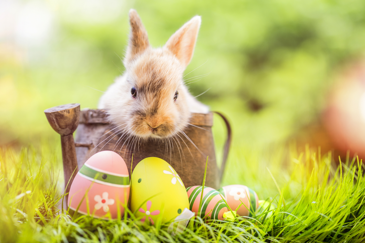 ©drubig-photo - stock.adobe.com