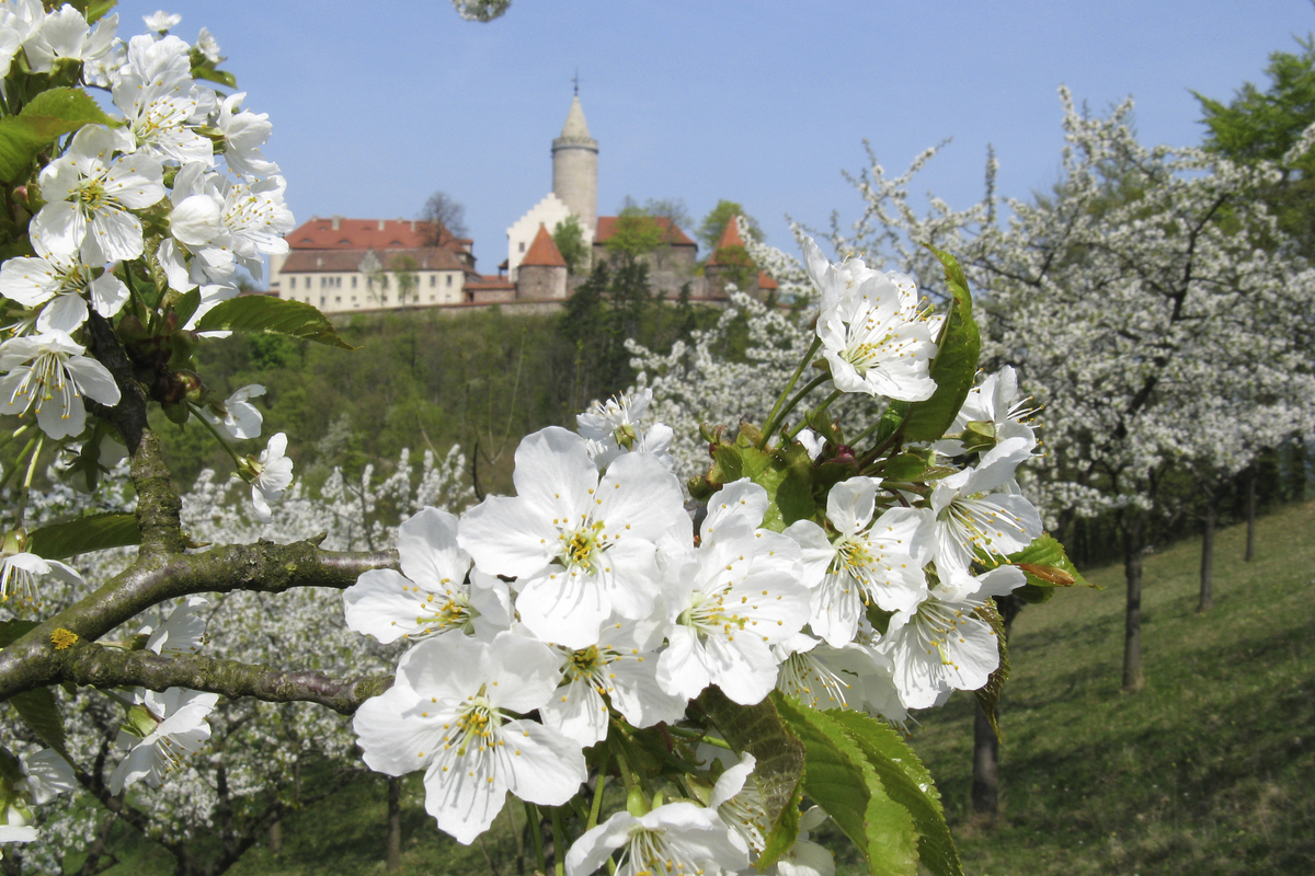 © Leuchtenburg